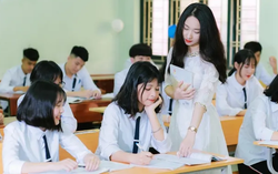 Chất lượng đội ngũ nhà giáo sẽ tăng khi chứng chỉ hành nghề là yêu cầu bắt buộc