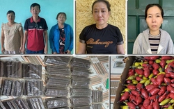 Tạm giữ 5 đối tượng nữ trong đường dây mua bán trái phép vật liệu nổ