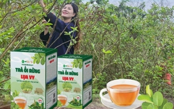 Tận dụng lợi thế của mạng xã hội để nâng tầm giá trị cho cây ổi rừng