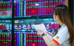 VN-Index phiên cuối tuần chịu lực xả mạnh, rơi tự do 20 điểm