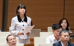 Kiến nghị tiếp tục chính sách giảm thuế cho doanh nghiệp thời điểm "mùa giáp hạt"