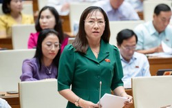 Đại biểu Quốc hội: Đề xuất tăng số lần được nghỉ khám thai cho lao động nữ