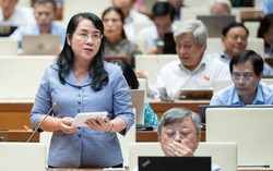 Nhiều bộ, ngành, địa phương chưa bố trí ngân sách cho công tác bình đẳng giới