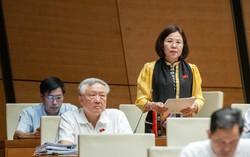 ĐBQH đề nghị "hạ tiêu chuẩn" tuyển dụng công chức, viên chức ở vùng khó khăn, dân tộc thiểu số