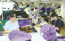 Công ty chậm trả lương, người lao động có được nghỉ ngang?