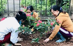Hội LHPN Bắc Ninh: Sơ kết 1 năm triển khai mô hình điểm "Xây dựng gia đình 5 có, 3 sạch"