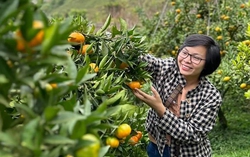 Xây dựng hệ sinh thái kết nối phụ nữ khởi nghiệp

