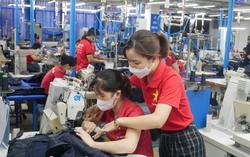 Nhiều lao động nữ điều trị vô sinh, hiếm muộn mất quyền lợi thai sản khi sinh con