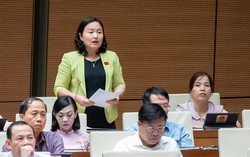 Luật Công đoàn (sửa đổi): Băn khoăn với quy định về xây dựng nhà ở xã hội cho công nhân