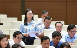 Phát triển con người Việt Nam có nhân cách, lối sống tốt đẹp cần bắt đầu từ giáo dục trẻ em