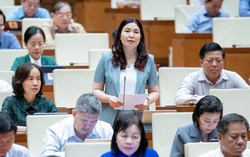 Chỉ có 1% số nghệ nhân được hưởng chế độ hỗ trợ theo quy định