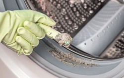 Nhà vi trùng học tiết lộ "độ bẩn" của máy giặt: Trong đó có vi khuẩn, virus, nấm mốc và cả phân người