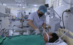 Ăn thịt lợn chết, người đàn ông nhập viện trong tình trạng "thập tử nhất sinh"