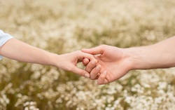 Truyện ngắn: Đón em về