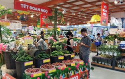 Nhiều ưu đãi mừng Tết Đoan Ngọ tại các cửa hàng, siêu thị