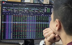 Chứng khoán tuần 10 - 14/6: VN-Index thiếu động lực có ảnh hưởng mạnh