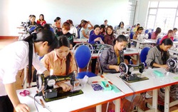 Chỉ thị của Ban Bí thư về đổi mới công tác đào tạo nghề cho lao động nông thôn