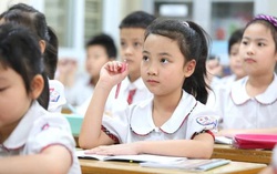 TPHCM: Giảm học phí và điều chỉnh một số khoản thu dịch vụ giáo dục