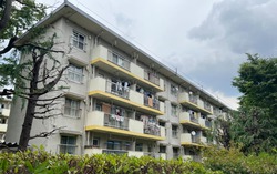 Cái chết trong cô độc của người già Nhật Bản