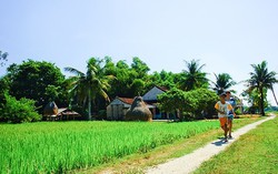 Quay quắt nhớ con đường quê