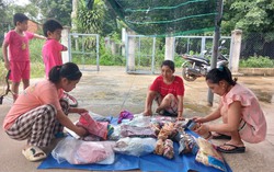 Bình Dương: Trao sinh kế cho phụ nữ dân tộc thiểu số ở Dầu Tiếng