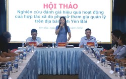 Yên Bái hiện có 167 hợp tác xã do phụ nữ tham gia quản lý 