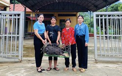 Hội LHPN thành phố Lào Cai đẩy mạnh thực hiện các nội dung Dự án 8