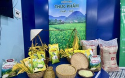 Nhận diện hơn 400 sản phẩm thật - giả