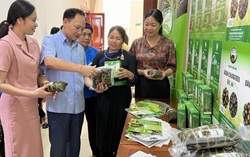 Lào Cai: Thêm 2 sản phẩm đặc sản được công bố chứng nhận nhãn hiệu
