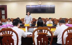 Bà Rịa - Vũng Tàu: Tiếp tục giám sát thực hiện chính sách về lao động nữ