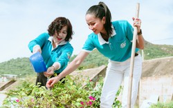 Bình Định: Chung tay xây dựng Nông thôn mới, các cấp Hội mang lại giá trị thiết thực cho hội viên, phụ nữ