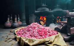Sự trở mình của "kinh đô nước hoa"