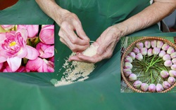 Trà sen Tây Hồ trở thành Di sản văn hóa phi vật thể quốc gia: Thức uống tinh tế được làm ra từ bàn tay những người phụ nữ