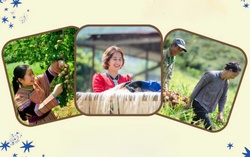 Mở ra cơ hội cho sản phẩm của phụ nữ dân tộc thiểu số gia nhập chuỗi giá trị toàn cầu