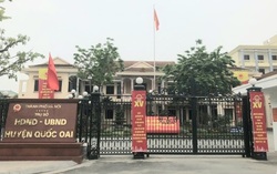 Nạn chặt trộm gỗ sưa trên núi Thầy (Quốc Oai, Hà Nội): Giao Công an huyện vào cuộc điều tra, xử lý