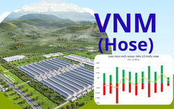 VNM trở lại top 10 với vốn hóa 6,4 tỷ USD, nhà đầu cần lưu ý gì?