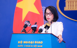 Việt Nam lấy làm tiếc về phán quyết liên quan đến vụ kiện chất độc da cam của bà Trần Tố Nga