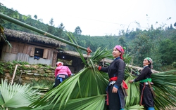 Độc đáo mái nhà lợp bằng lá cọ của người Tày