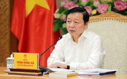 Phân công nhiệm vụ Phó Thủ tướng Chính phủ Trần Hồng Hà