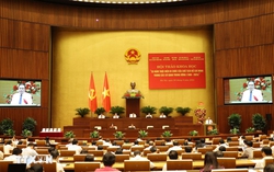 Di chúc của Chủ tịch Hồ Chí Minh luôn dẫn dắt toàn Đảng, toàn dân, toàn quân