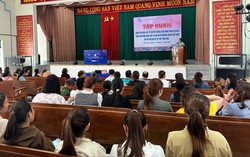 Sơn Hòa (Phú Yên): Tập huấn nâng cao năng lực cho 130 thành viên Tổ truyền thông cộng đồng 