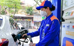 Giá xăng tiếp tục giảm xuống dưới 22.000 đồng/lít tại kỳ điều hành ngày 8/8/2024