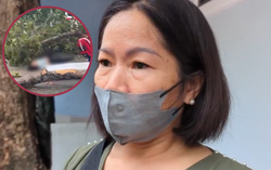 Người dân ám ảnh khi thấy 5 người bị cây rơi trúng tại công viên Tao Đàn: “Tay chân tôi vẫn còn run”