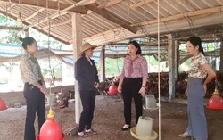 Nỗ lực hỗ trợ phụ nữ dân tộc thiểu số tiếp cận nguồn vốn phát triển kinh tế
