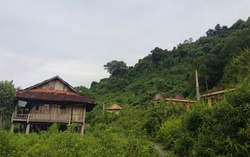 Tương Dương, Nghệ An: Bản tái định cư chỉ còn 6 người già bám trụ