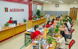 Agribank tích cực triển khai các giải pháp cho vay phát triển nhà ở xã hội