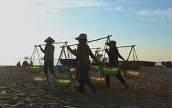 Nhọc nhằn những nữ phu cá