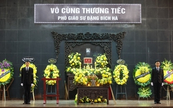 Tổ chức trọng thể lễ viếng Phó giáo sư Đặng Bích Hà - Phu nhân Đại tướng Võ Nguyên Giáp