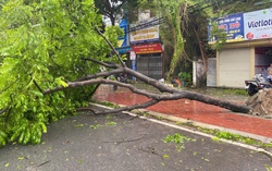 Chủ tịch Hà Nội khuyến cáo người dân không ra khỏi nhà khi bão số 3 đổ bộ