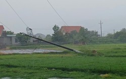 Bão số 3 đổ bộ: Nhiều địa phương phía Bắc mất điện, ngành Điện tập trung nguồn lực khắc phục sự cố